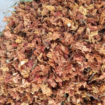 茉莉花红花，新鲜，干净，干货，产地直销