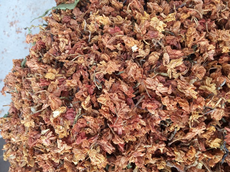 茉莉花红花，新鲜，干净，干货，产地直销