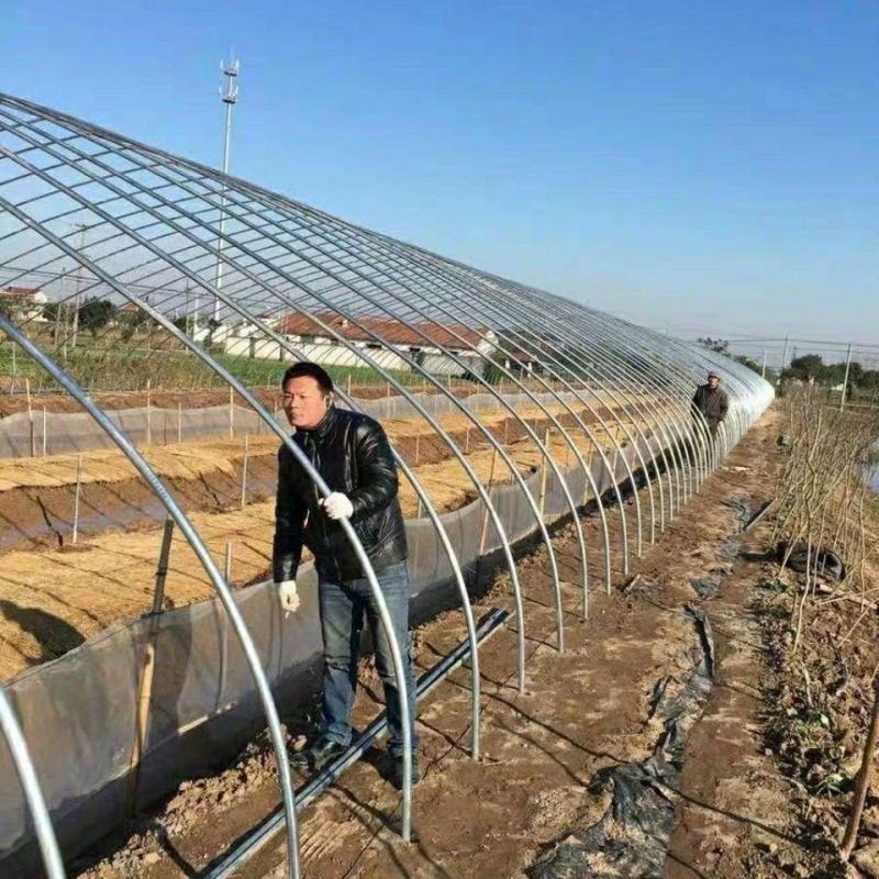 生产各种规蔬菜种植单体大棚养殖大棚上门安装全国发货