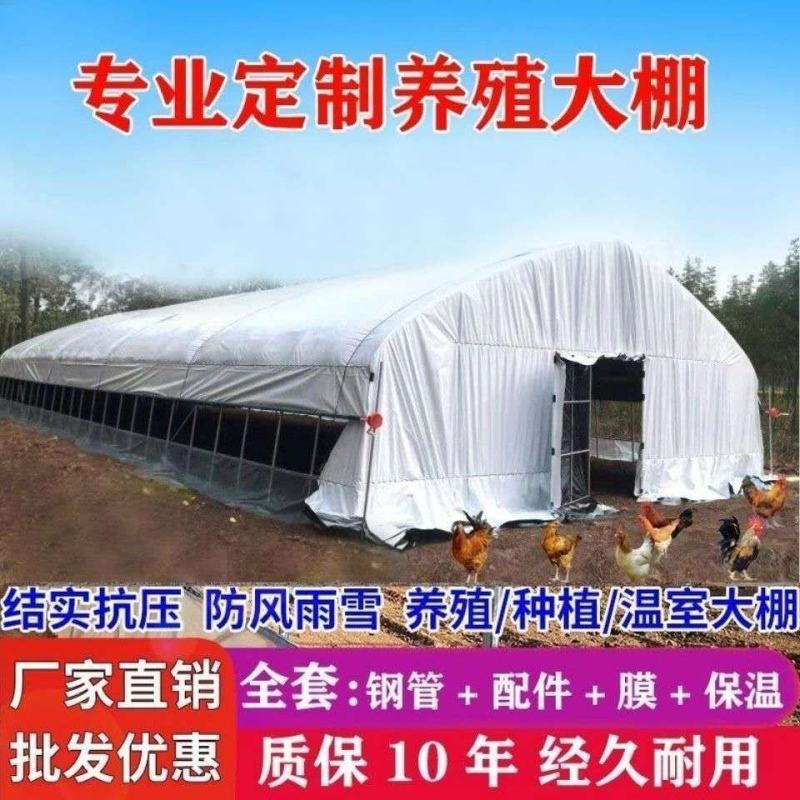 生产各种规蔬菜种植单体大棚养殖大棚上门安装全国发货
