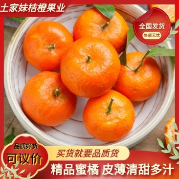 蘑菇柑基地直供，保质保量以质论价欢迎订购