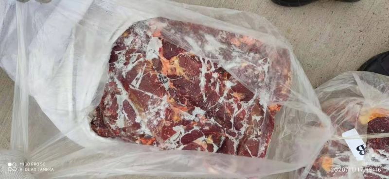 带检疫发货蒙古马肉五分体四分体各各部位都有货