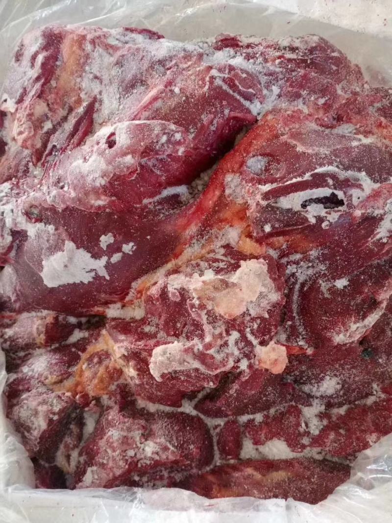 带检疫发货蒙古马肉五分体四分体各各部位都有货