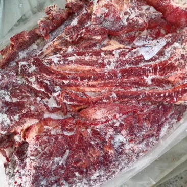 带检疫发货蒙古马肉五分体四分体各各部位都有货