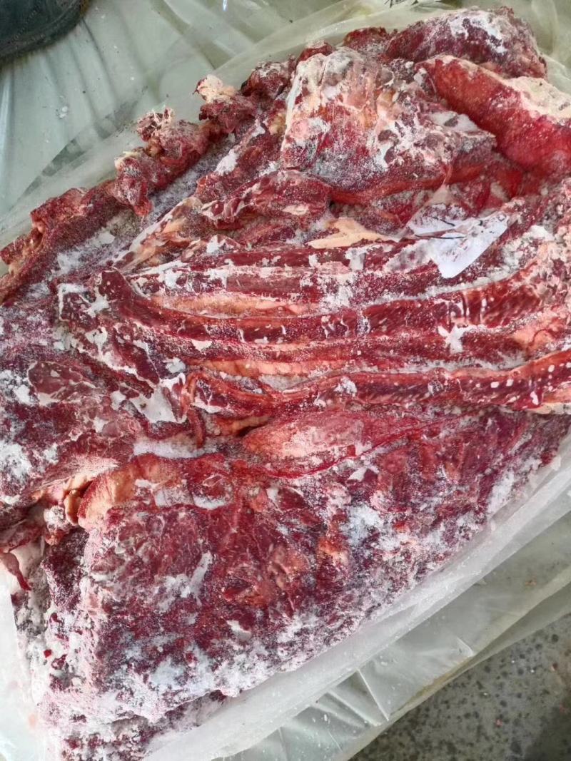 带检疫发货蒙古马肉五分体四分体各各部位都有货