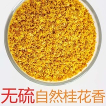 桂花桂花干药用精品花茶用花质量好不满意可以退换