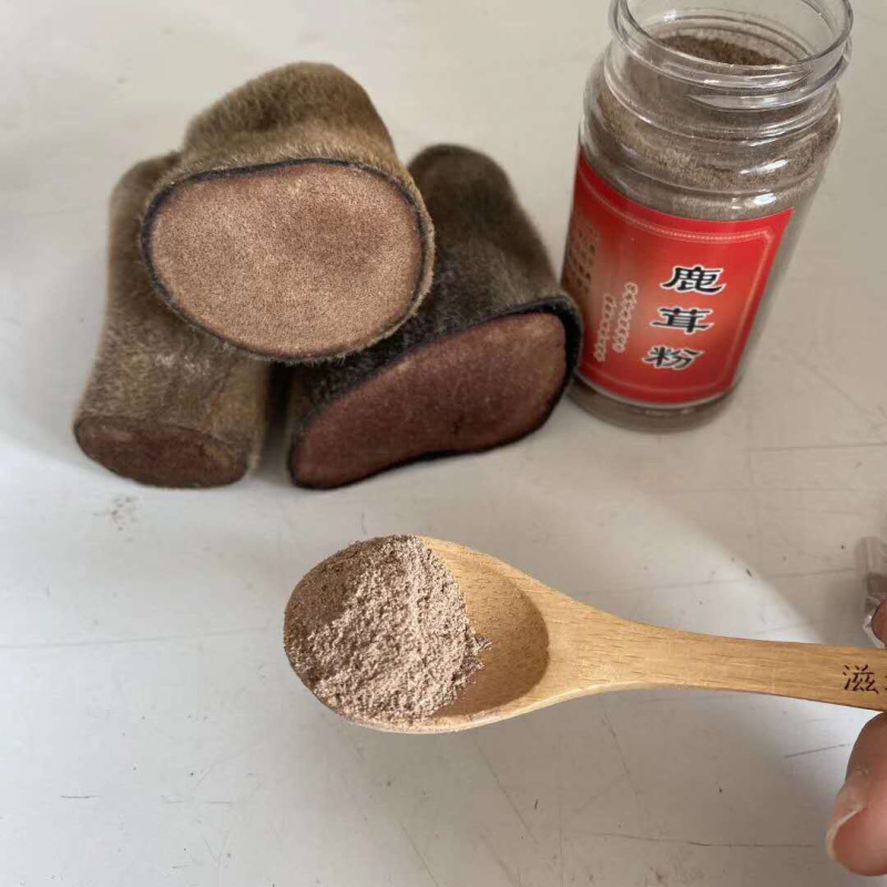 鹿茸粉梅花鹿茸干鹿茸鹿乡鹿茸免费粉碎鹿茸二杠