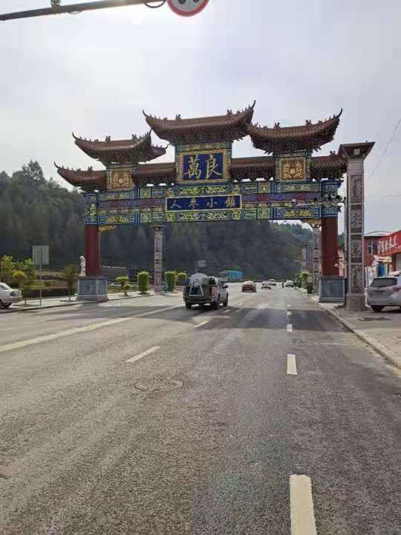 长白山无糖红参特大红参片送礼煲汤泡水瓶装送礼