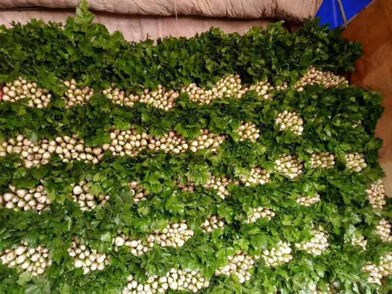 芹菜杆子亮，菜美价格合理。