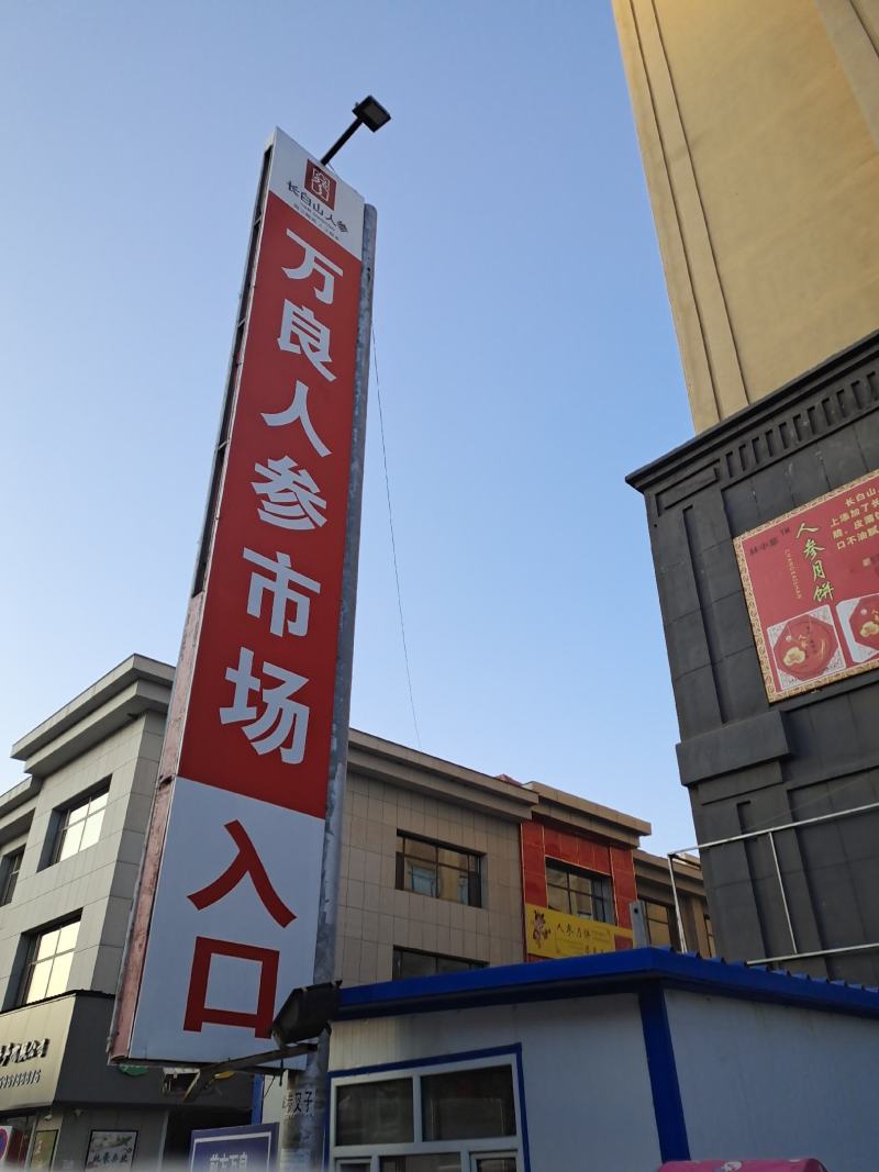长白野生五味子产地直销土特产泡水保健养生瓶装