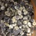 【有新货】21年干香菇薄香菇大开菇散装500g原产地批发