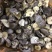【有新货】21年干香菇薄香菇大开菇散装500g原产地批发