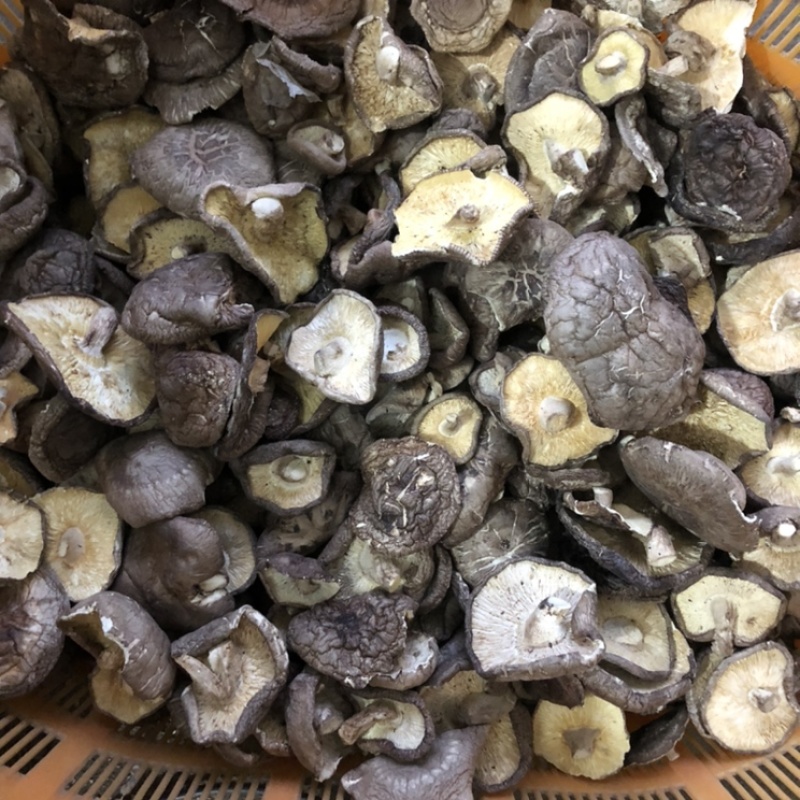 【有新货】21年干香菇薄香菇大开菇散装500g原产地批发