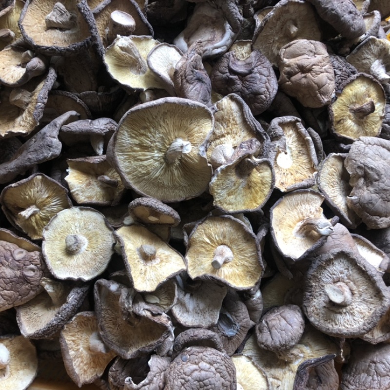 【有新货】21年干香菇薄香菇大开菇散装500g原产地批发