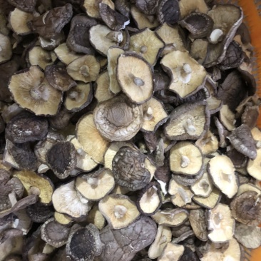 【有新货】21年干香菇薄香菇大开菇散装500g原产地批发