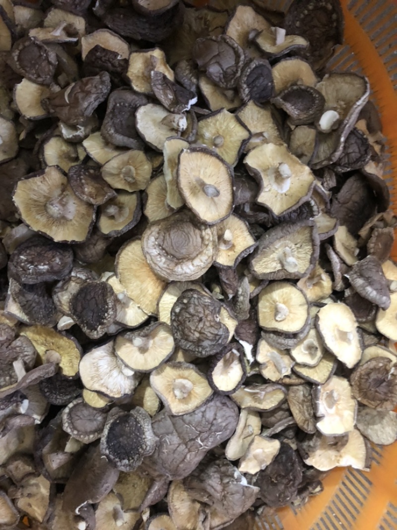 【有新货】21年干香菇薄香菇大开菇散装500g原产地批发