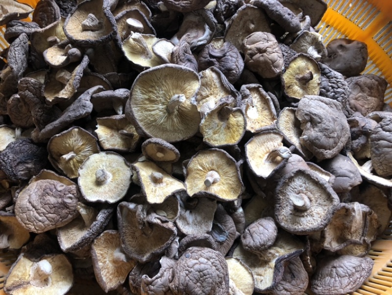 【有新货】21年干香菇薄香菇大开菇散装500g原产地批发