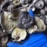 【有新货】21年干香菇薄香菇大开菇散装500g原产地批发