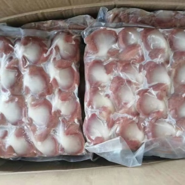 鸭胗（规格齐全）大厂，一级干货，证件齐全，可开检疫！！
