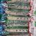 低价速冻鱿鱼200/300300/400规格