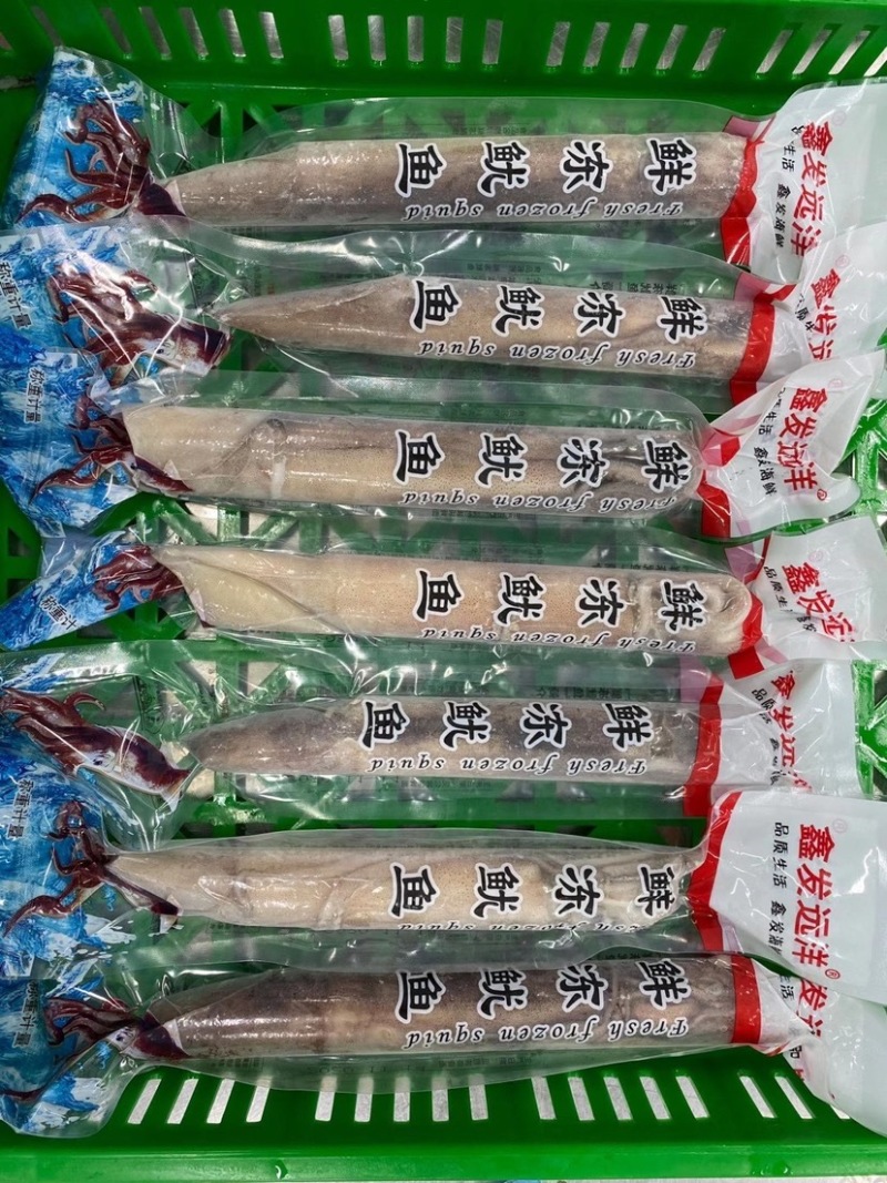 低价速冻鱿鱼200/300300/400规格