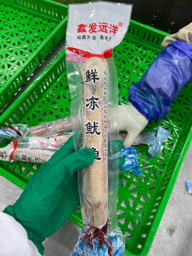 低价速冻鱿鱼200/300300/400规格