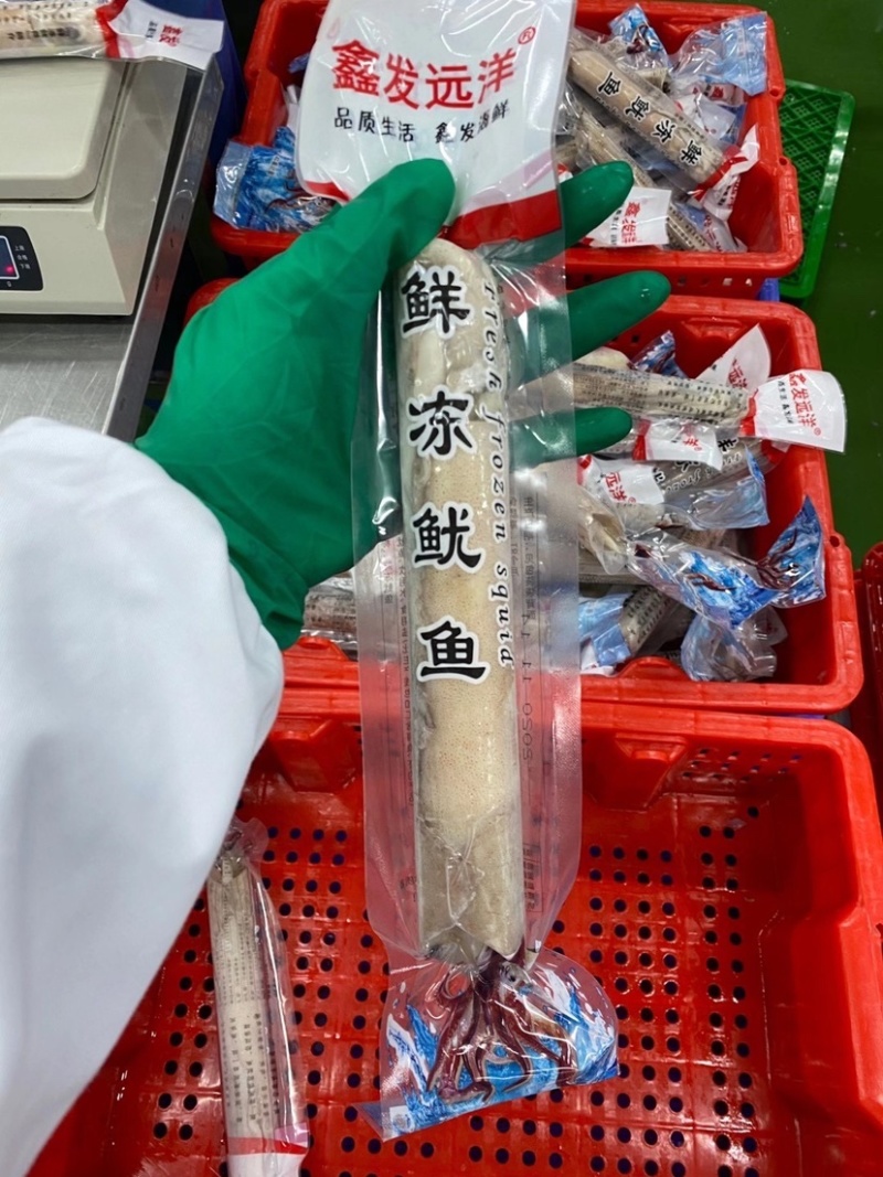 低价速冻鱿鱼200/300300/400规格