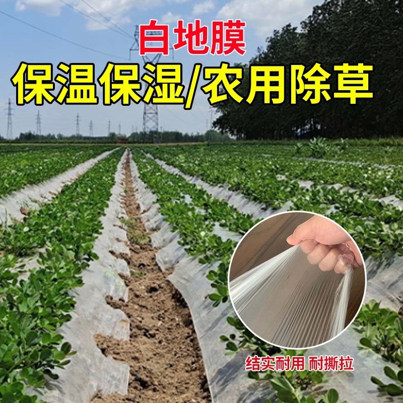 农用白色透明塑料布塑料薄膜黑色地膜中膜加厚膜无滴大棚塑料