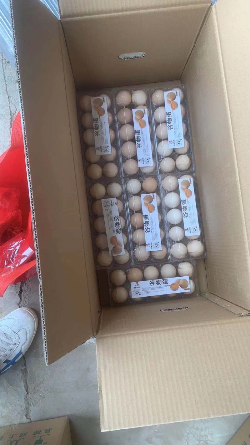 鲜鸡蛋土鸡蛋供应各电商平台可一件代发产地直销货源充足