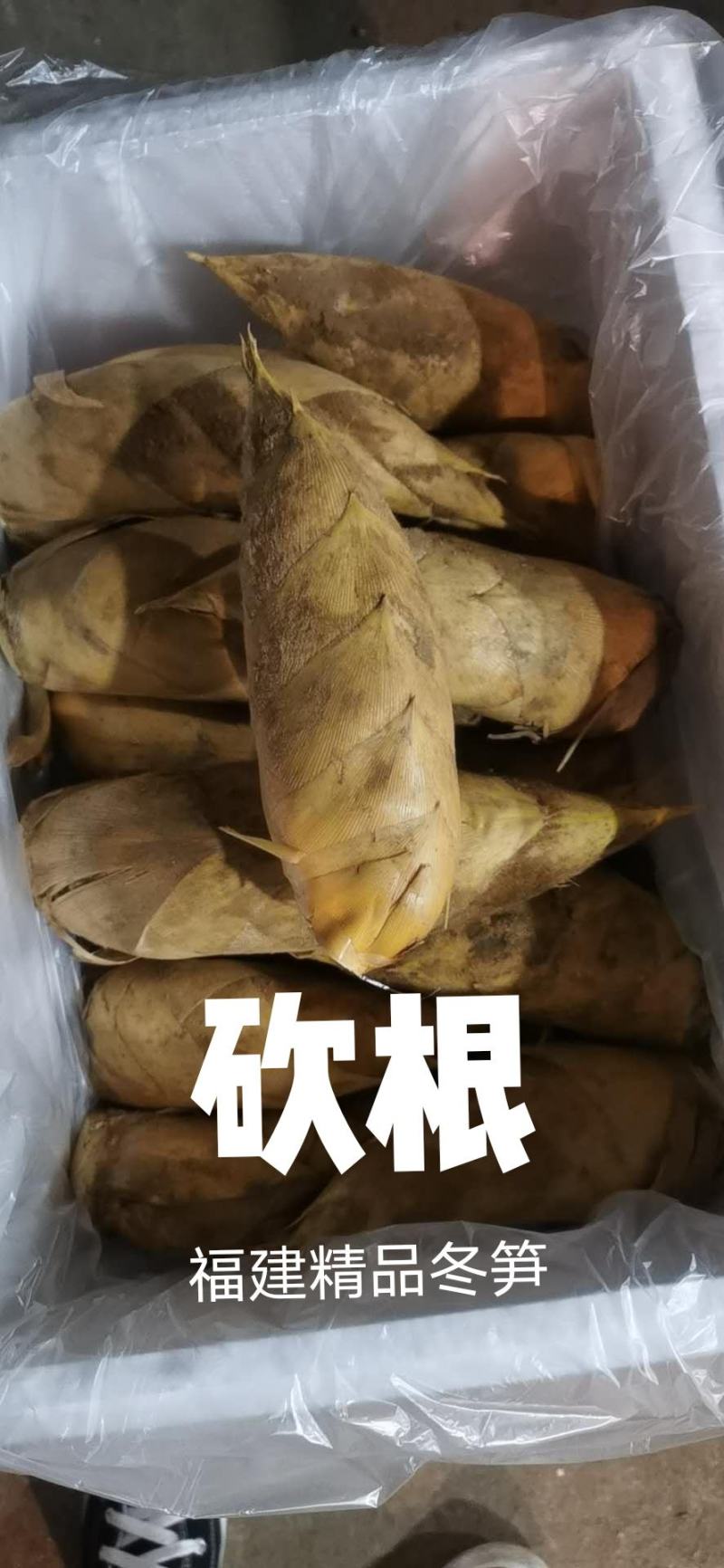 福建精品20斤装大量批发砍根锯根一件代发