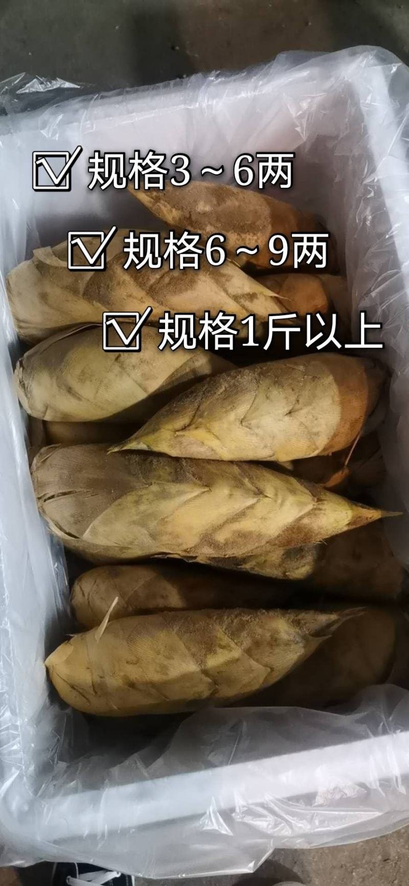 福建精品20斤装大量批发砍根锯根一件代发