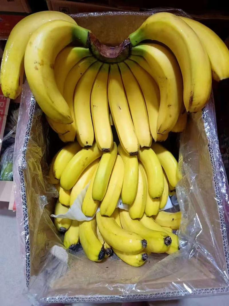 【爆款】精品香蕉全国接单视频看货量大优惠