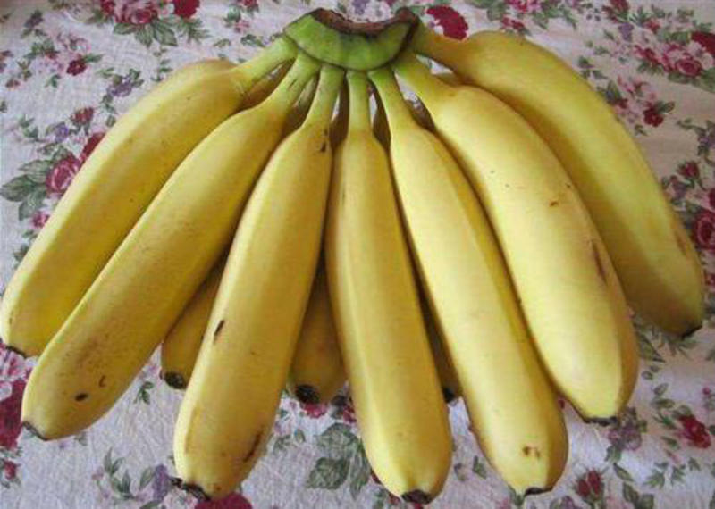 【热销】优质香蕉味道甜美量大有优惠批发