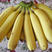 【批发】香蕉量大优惠全网接单视频看货产地直发