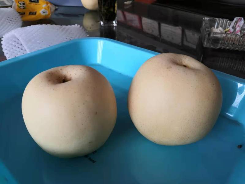 河北邢台威县，（威梨五百万斤开始卖了）新梨七，雪青。