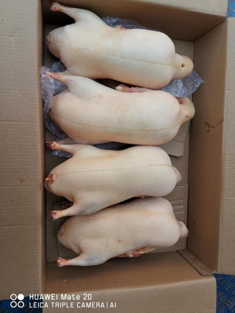 带皮单冻鸭胸，鸭副，鸭分割，鸭产品，适合电商批发加工厂