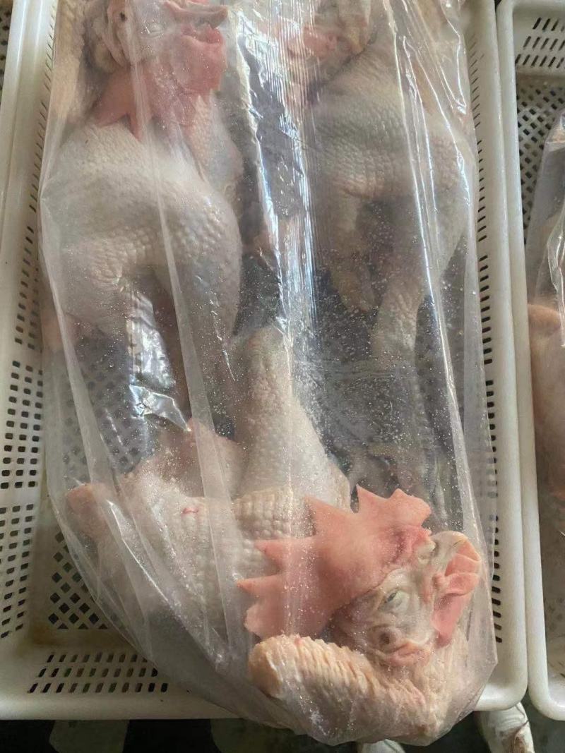 带皮单冻鸭胸，鸭副，鸭分割，鸭产品，适合电商批发加工厂
