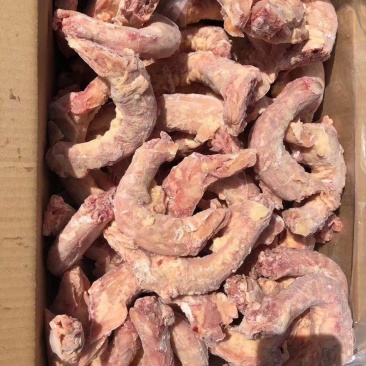 鸽子规格齐全，价格美丽，厂家直接发货，长期有货