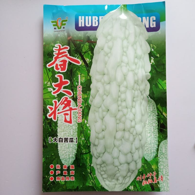 苦瓜种子翠绿苦瓜种子一代杂交品种基地专用品种种子