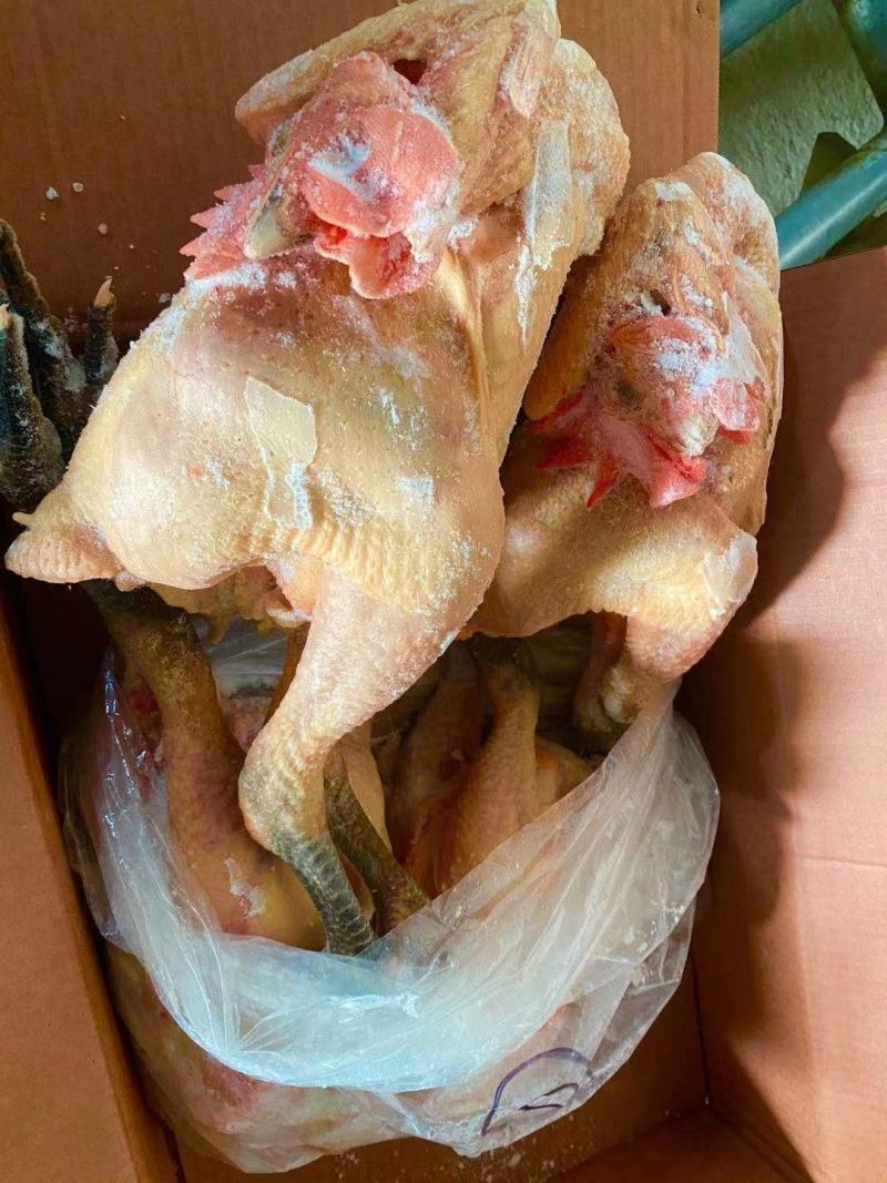 半片鸭一级二级都有货，厂家直接发货，价格美丽