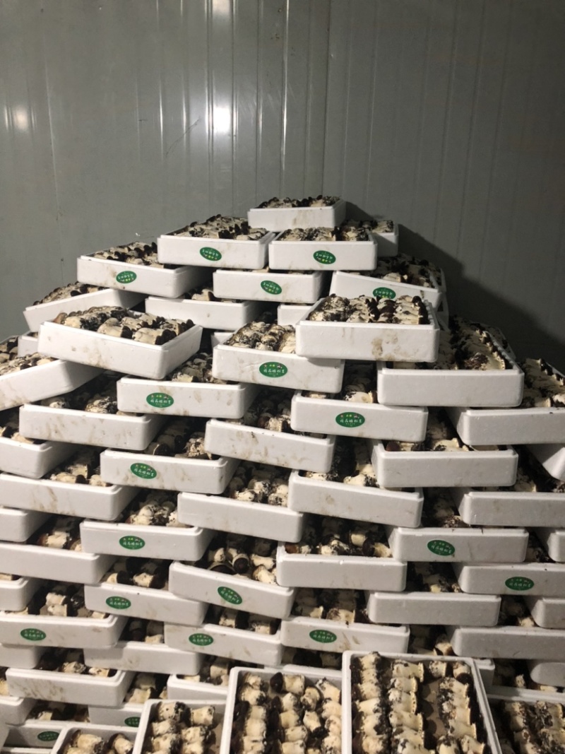 小杨新鲜大球盖菇产地直供货源稳定质量保证