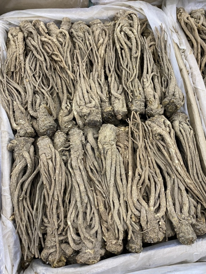 当归大货供应，各种规格欢迎你的选购，量大从优！