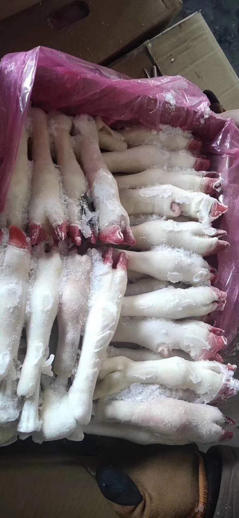 羊副产品羊蹄箱装袋装各种规格欢迎新老客户来电订购