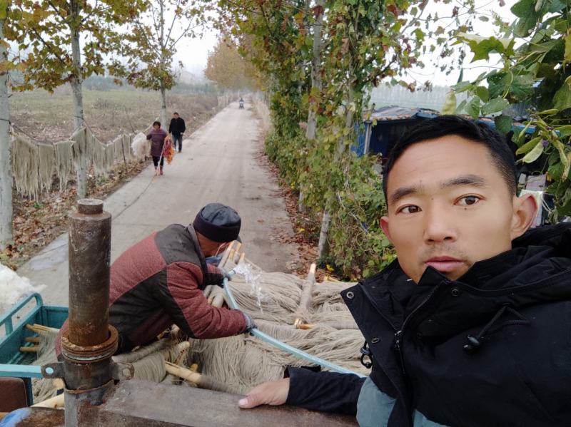 自家种植的红薯济25红薯粉条口感好