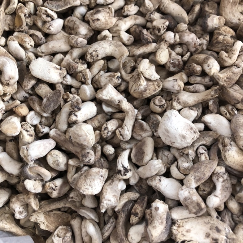 磨面香菇脚无杂干香菇腿食用菌香菇根原产地一手批发大量现货