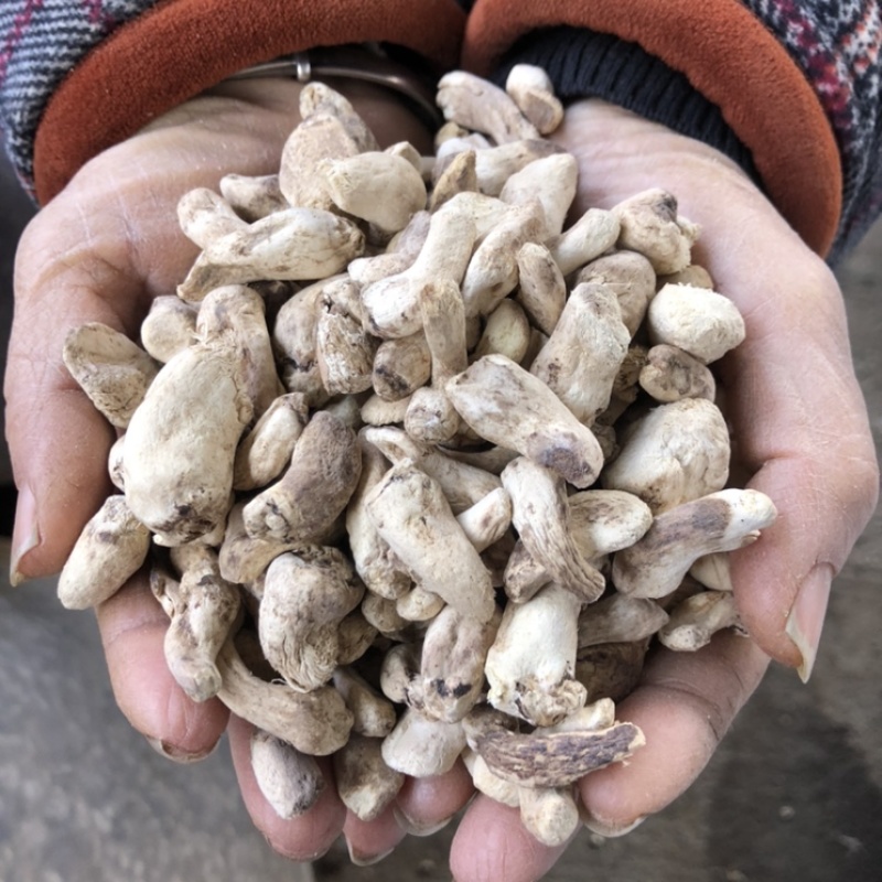 磨面香菇脚无杂干香菇腿食用菌香菇根原产地一手批发大量现货