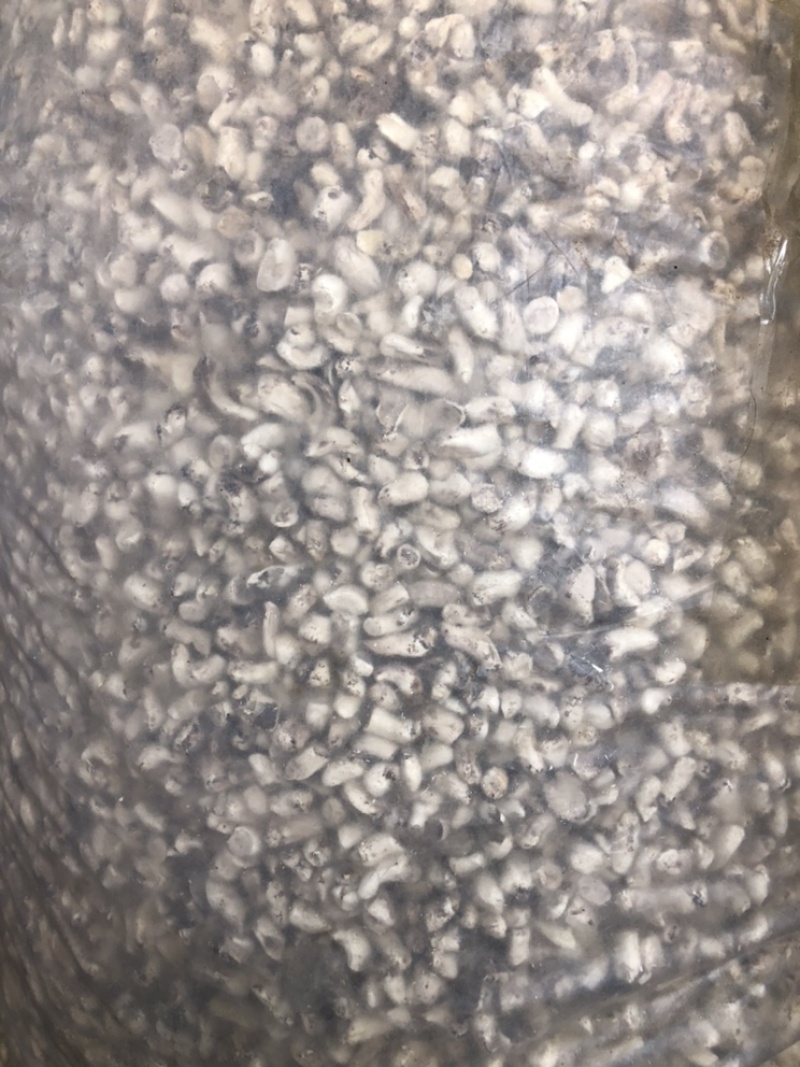 磨面香菇脚无杂干香菇腿食用菌香菇根原产地一手批发大量现货
