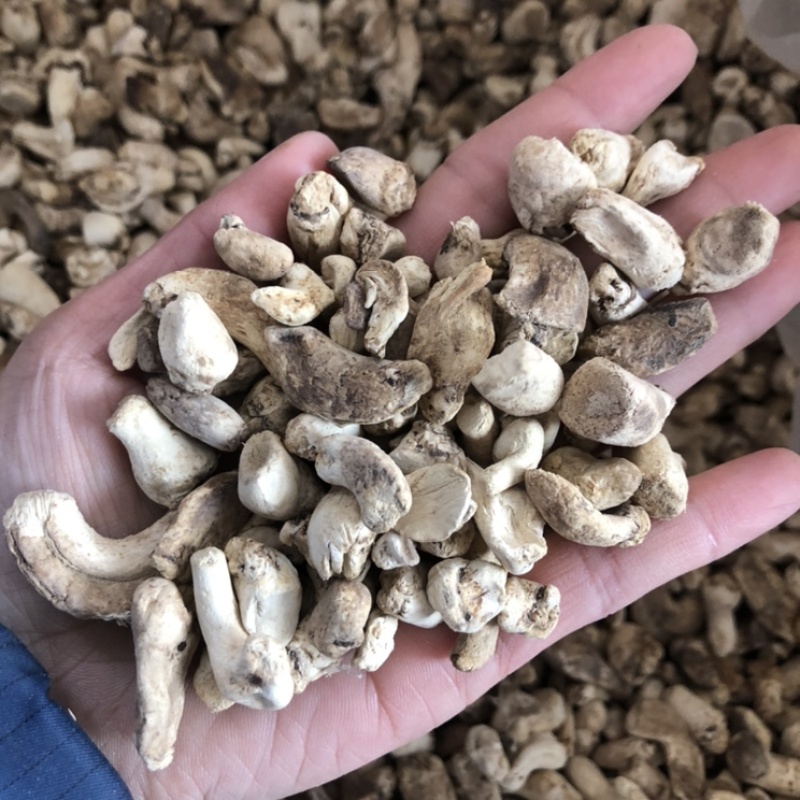 磨面香菇脚无杂干香菇腿食用菌香菇根原产地一手批发大量现货