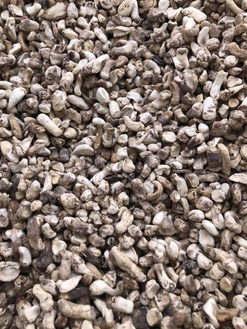 磨面香菇脚无杂干香菇腿食用菌香菇根原产地一手批发大量现货