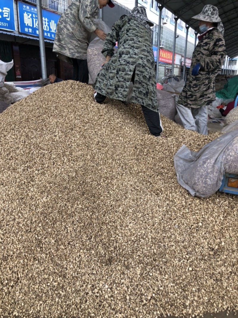 磨面香菇脚无杂干香菇腿食用菌香菇根原产地一手批发大量现货